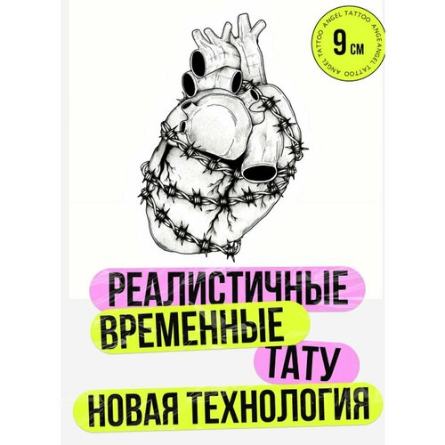 ���� ���� ���������� �������������� �������� ������ ������