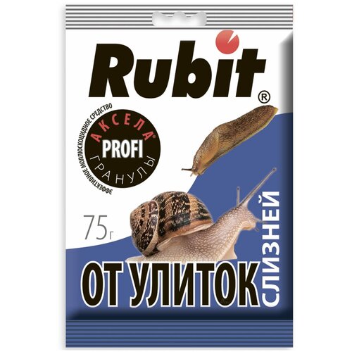 ���� �������� �� ������ � ������� ����� ������, 75 � ������ ������