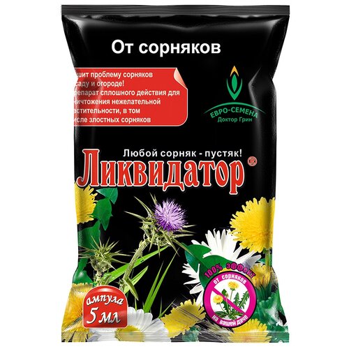 ���� ���������� (������ 5 ��) �������� �� �������� ������ ������