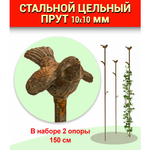 ���� 2 �����, ������� ��� ��������, ����� ��� ��������� ���� � ����������� 