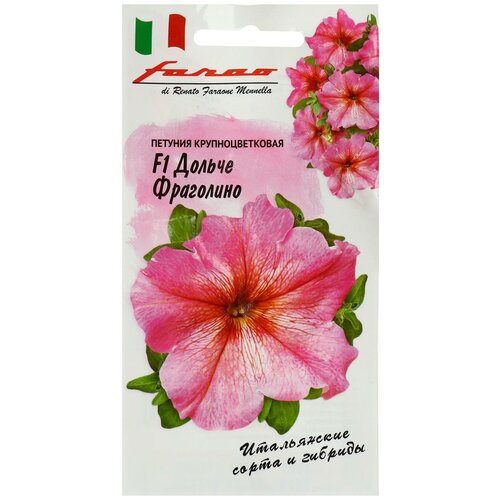 ���� ������ ������ ������� 