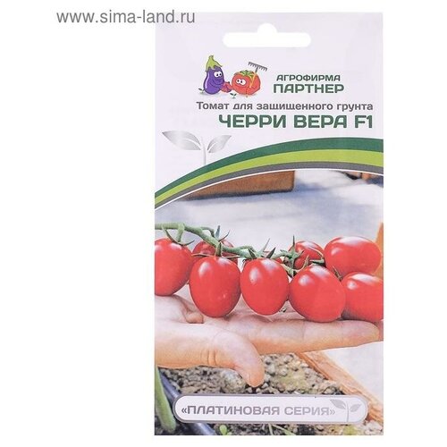 ���� ������ ������ ����� 