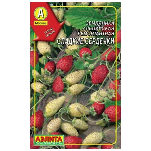 ���� ������. ��������� 