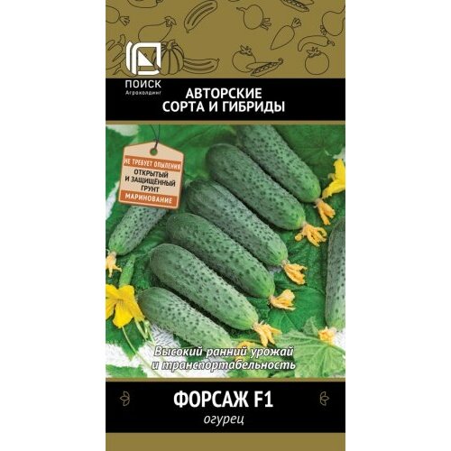 ���� ������ ������ ������ F1 12�� ������������������ ������ (�����) ����� ������ ������