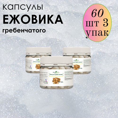 ���� ������ ���� ����������� � �������� ����-��������, ����������� ������� ������� 60 ��*3 �������� ������ ������