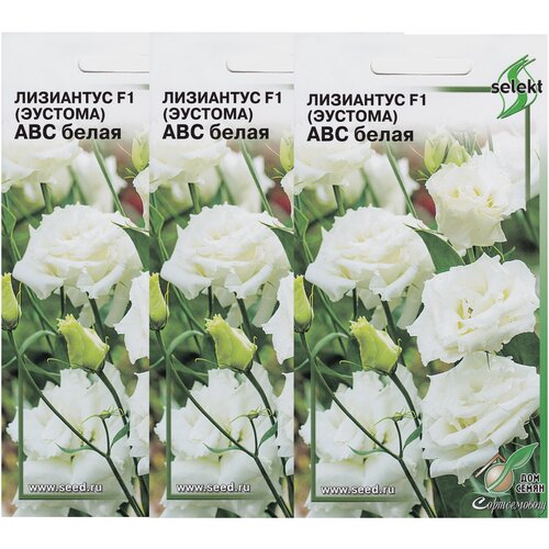 ���� ��������� F1 (�������) ��� �����, 3 �������� �� 5 ����� ������ ������