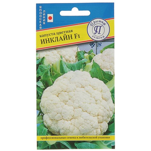 ���� ������ ������� ������� 