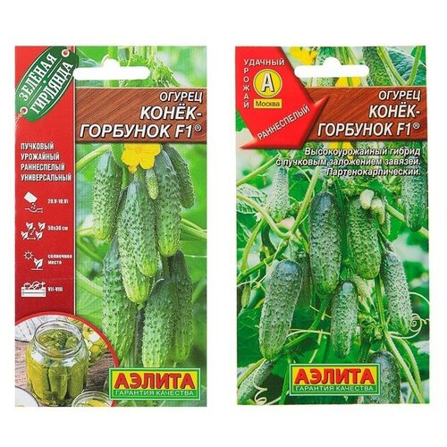 ���� ������ ������ 