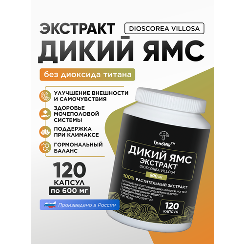 ���� ����� ��� - ��������� - �������� �� ����Nik - 120 ������ �� 600�� ������ ������