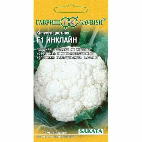 ���� ������ ������� ������� ������� F1, ������������, (������) 15�� ������ ������