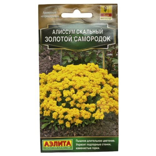 ���� ������ ��������� ������ ������� ������� ��������� 0,1 � ������ ������