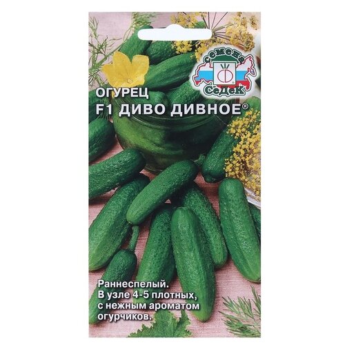 ���� ������ ����� ������ ���� ������ F1 0,2 � ������ ������