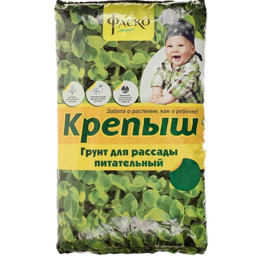 ���� ����� ����� 