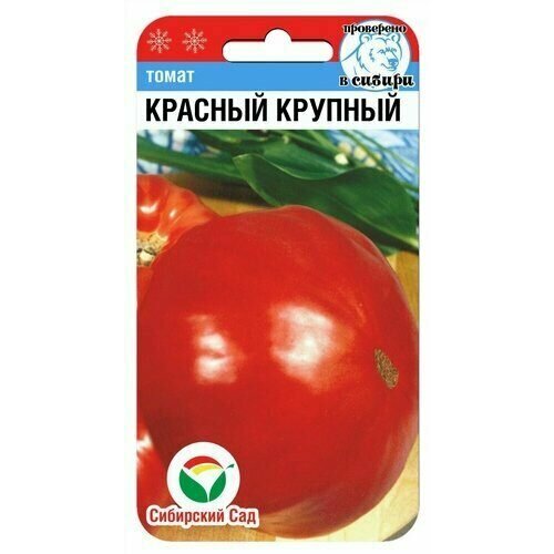 ���� ������ ����� ������� ������� 20�� ����� (��������� ���) ������ ������