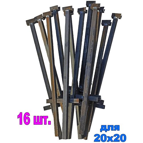 ���� ���� ��� ������� 6 ������ (16 ��) ������ ������