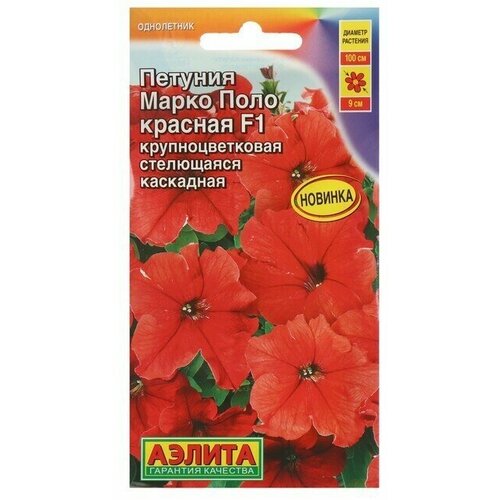 ���� ������ ������� ����� ���� F1 �������, 10 �����. ������ ������