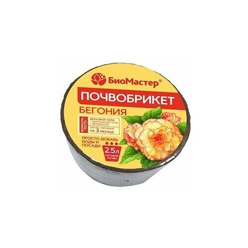 ���� ����������� 