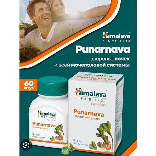   (Punarnava) Himalaya, 60    -     , -, 