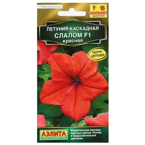 ���� ������ ������ ������� 