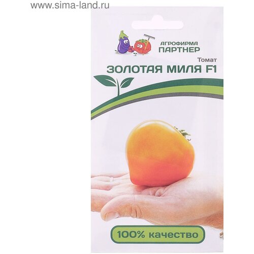 ���� ������ ����� 