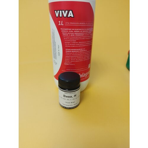 ���� ��������� ���� 50 �� ������ ������