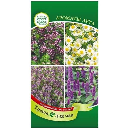 ���� ������. ����� ��� ��� 