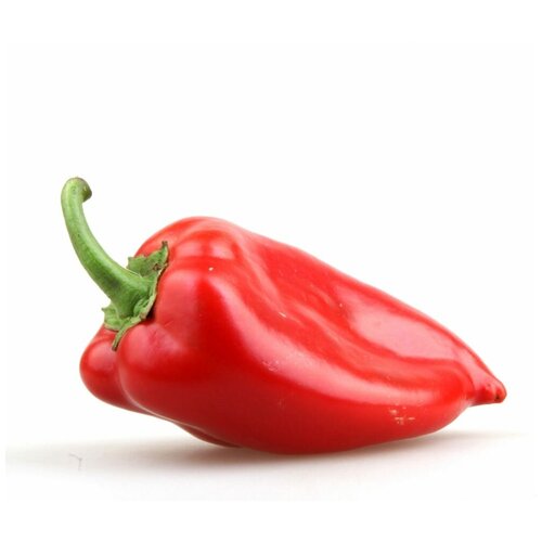     (. Capsicum annuum)  25   -     , -, 