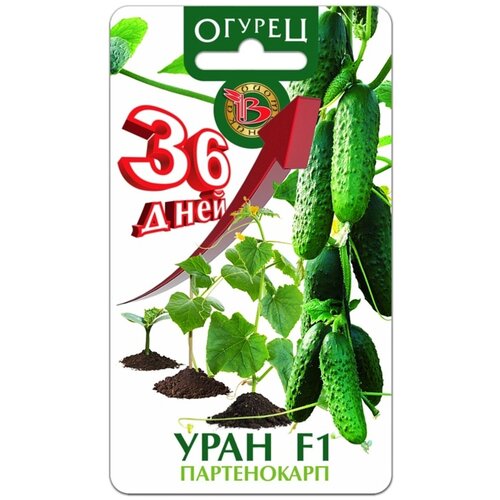 ���� ������ ������ ���� F1 (8��) ������ ������