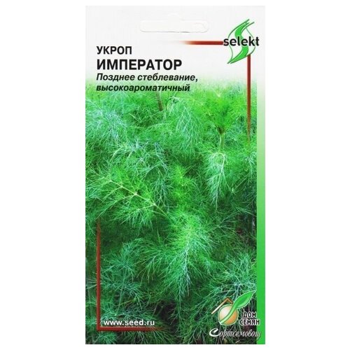 ���� ������ ��� ����� ����� ���������, 1100 �� ������ ������