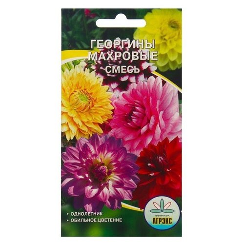 ���� ������ ������ �������� �������� �����, 0,2 � ������ ������