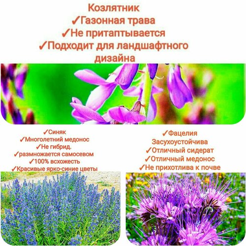 ���� ����� ���������� ����/���������,600�� (�������+�����+���������), ������ ������