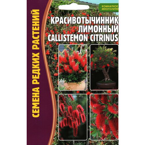    / CALLISTEMON CITRINUS,  ( 1 : 0,1  )   -     , -, 