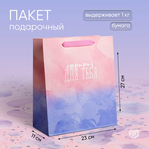 ���� ����� ���������� �������������� �������� ��� �����, 23 ? 27 ? 11,5 �� ������ ������