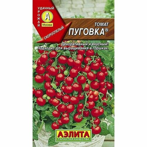 ���� ������ ����� ������� (�����������), �����������, (������) 20�� ������ ������