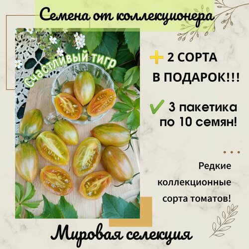 ���� ����� ���������� ����, ������� ��������, ������������� ���� ������ ������