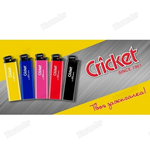   ,  Cricket () ED1 New Standard,  5  (5 )   -     , -, 