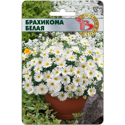 ���� ������ ��������� ����� 200 ���� ����� ���������� ������ ������