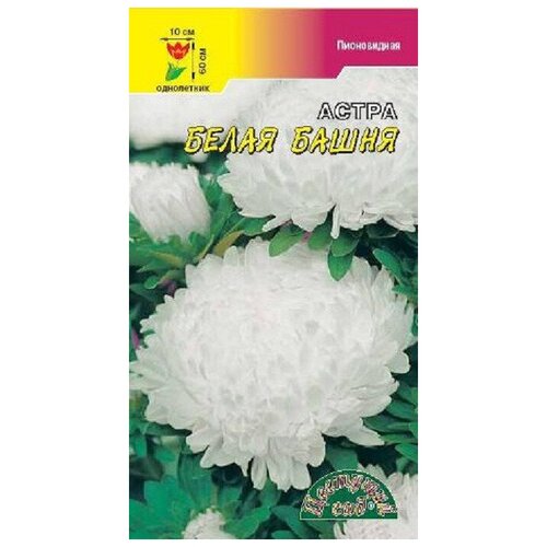 ���� ������ �������� ��� 