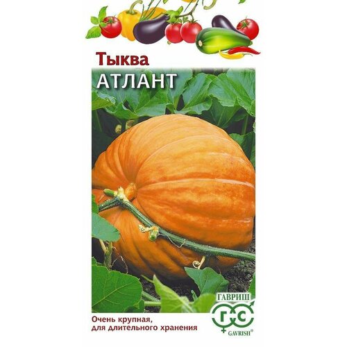 ���� ������ ����� ������ 2,0� (������) ������ ������