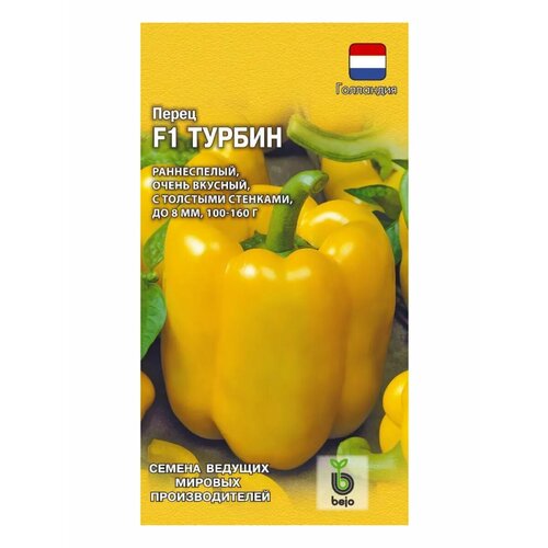 ���� ������ ����� ������� 