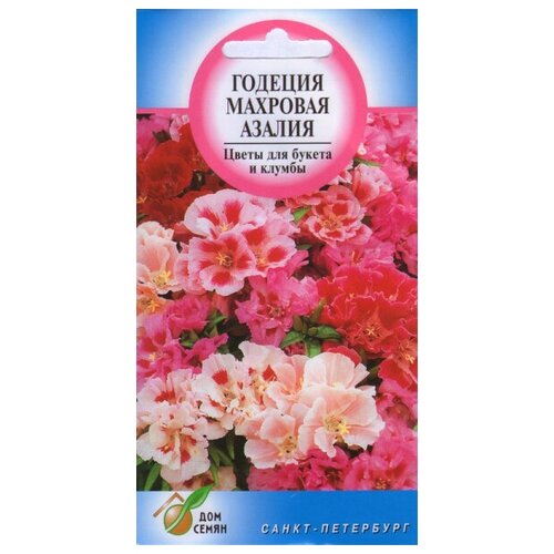 ���� ������� ������, ��������, 200 ����� ������ ������