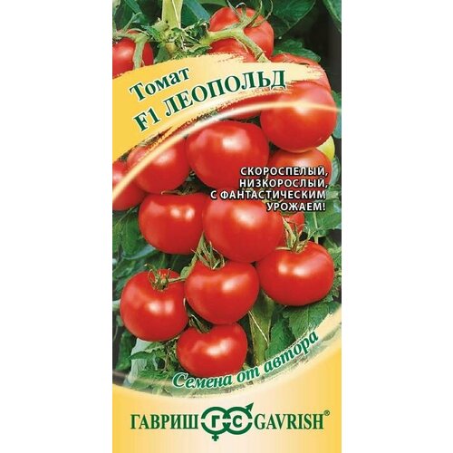 ���� ������ ����� �������� F1 12�� ��� ������ (������) ������ ������