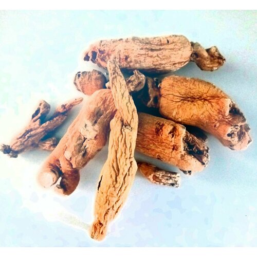 ���� �������� ������ �����, 25�� ������������ �������� ������ ������