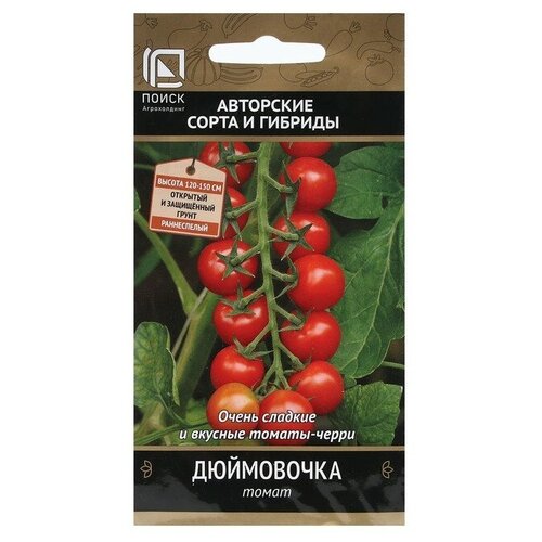 ���� ������ ����� ���������� ����� 12�� ����� ������ (�����) ����� ������ ������