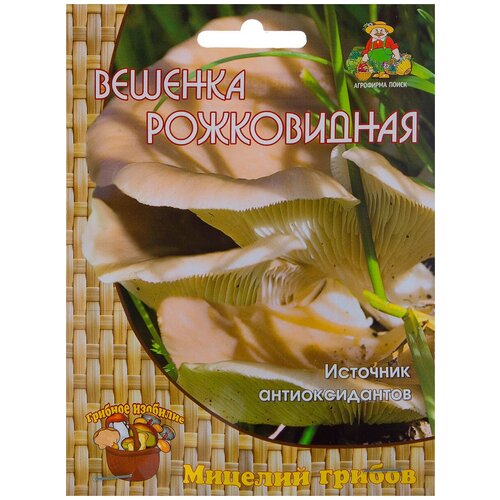 ���� ������� �� ��������� �������� ������� ����������� 12 ��. ������ ������