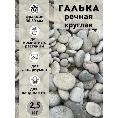 ���� ������ ������ ������� 30-80 �� (2.5��) ��� ���� � ������� � ������������ ������� ������ ������