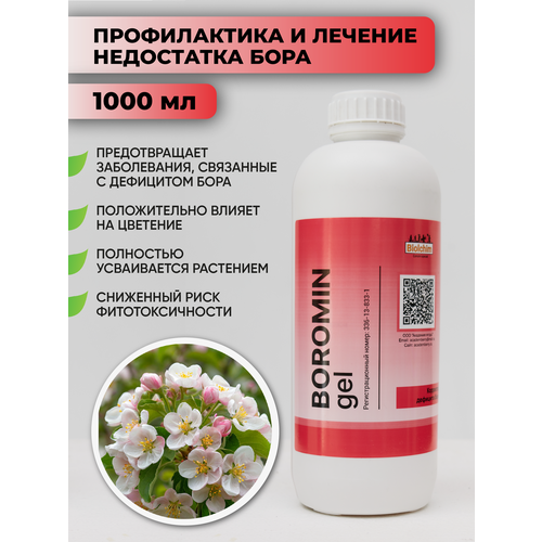 ���� ��������� �� �������� ���� ������� ���� 1� ������ ������