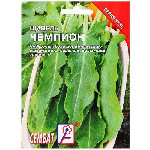 ���� ������ ���L ������ 