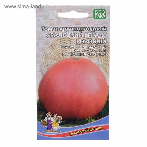 ���� ������ ����� ��������� ������ ������� 20�� ����� (��������� ������) ������ ������