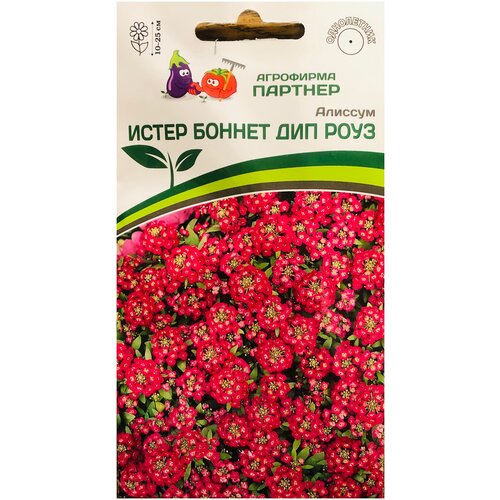 ���� ������ �������� 